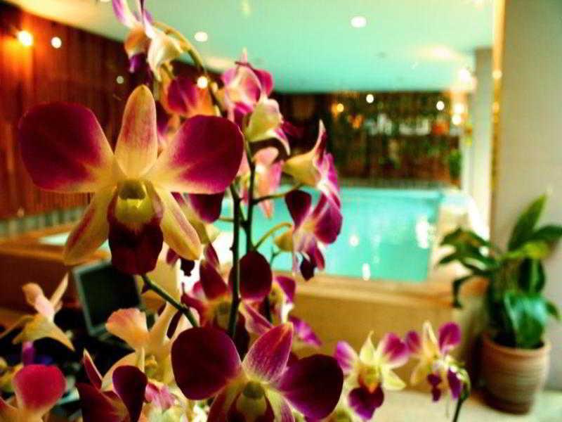 Thaphae Garden Guesthouse Chiang Mai Exterior photo